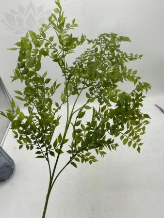 c3d15f35-5a68-11f0-891b-246e9611e8f7-1