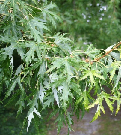 bd4a2770-114b-11f0-8918-246e9611e8f6-1