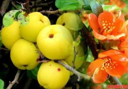 1da0da36-20e0-11f0-8918-246e9611e8f6-1