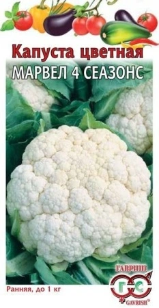 55dc76c4-a37c-11e8-9ac1-005056c00008-1