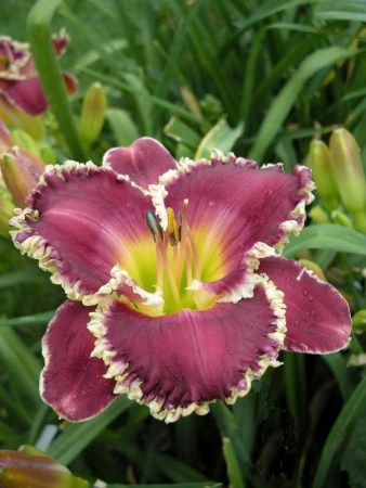 31e05a68-000e-11f0-8915-246e9611e8f5-1