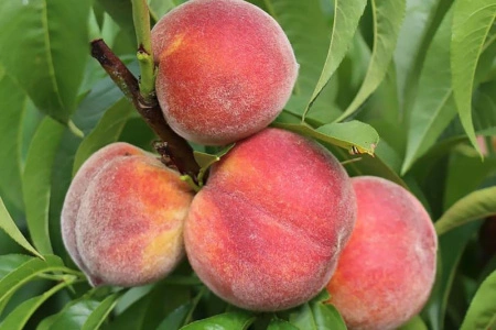 0a268943-2100-11f0-8918-246e9611e8f6-1