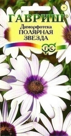 7757a673-dcea-11dd-9138-00500454e615-2