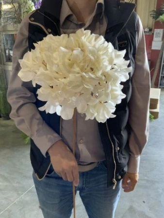 f29bc21d-f032-11ef-8915-246e9611e8f5-1