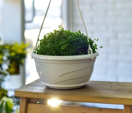 05343b98-57fb-11ed-aea3-001e673ebdea-1