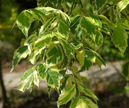 497371d3-114b-11f0-8918-246e9611e8f6-1