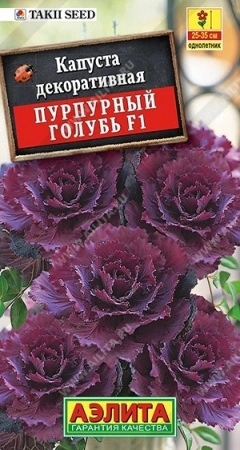 7757a61d-dcea-11dd-9138-00500454e615-1