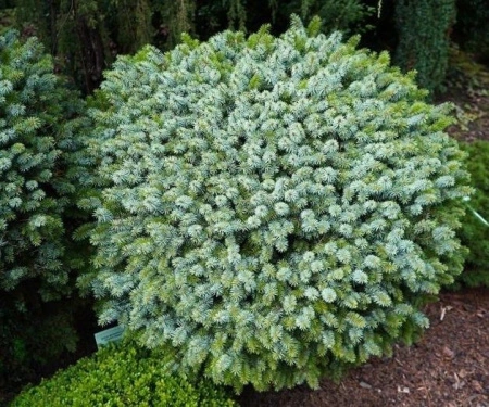 381079b3-358f-11f0-8918-246e9611e8f6-1