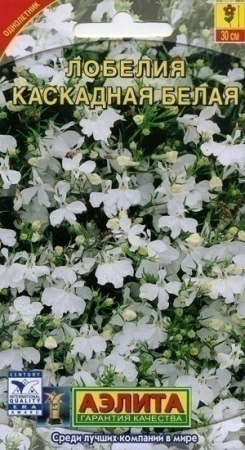 62f38e25-1141-11de-825c-001bfcfe401e-2