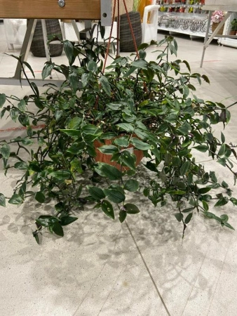 6d238b4f-2d74-11ef-890e-246e9611e8f7-1