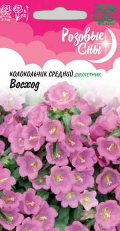 f8ca4731-ce8a-11eb-8e2c-005056c00008-1