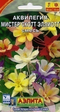 2c83a051-f2aa-11dd-867c-0019dbe91ea3-2