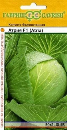 aee7d94d-e2a7-11df-b975-0019dbe91ea3-1