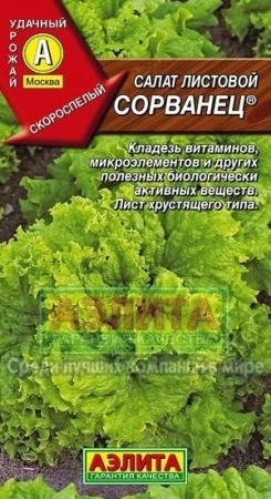 ab4e4719-9866-11e2-8061-00500454e615-1