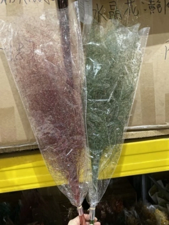 f97c7507-9d00-11ef-8912-246e9611e8f7-1