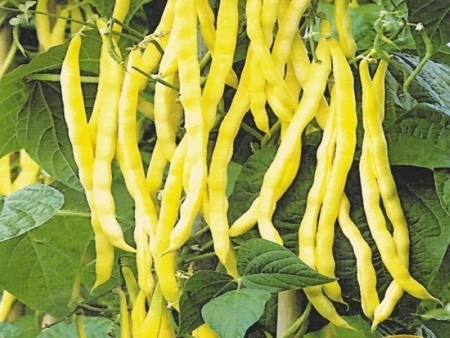 5491c411-0622-11e6-9ba7-001e673ebdea-2