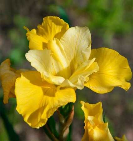 5476570c-ffe6-11ef-8915-246e9611e8f5-1