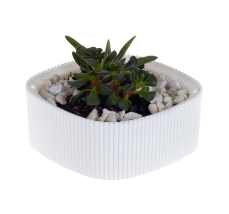 594ac362-595c-11ef-8910-246e9611e8f6-1