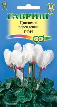 13bb6ea2-efa0-11de-87e0-0019dbe91ea3-1