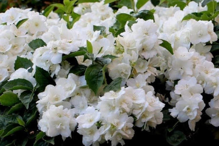 e2abed4e-a341-11eb-93b3-005056c00008-1