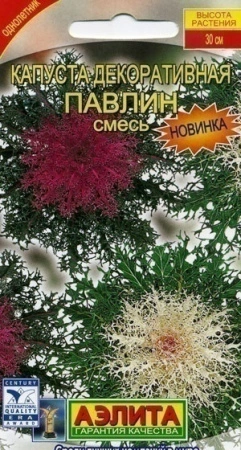 7757a619-dcea-11dd-9138-00500454e615-2