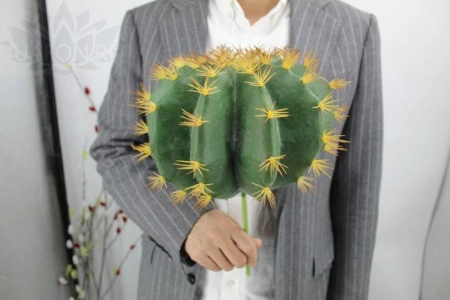 c646e57c-5a65-11f0-891b-246e9611e8f7-1