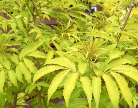 ed9d4b18-112f-11f0-8918-246e9611e8f6-1