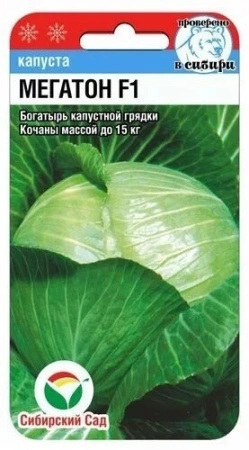 2a33e80e-c1a9-11ea-86cc-005056c00008-1