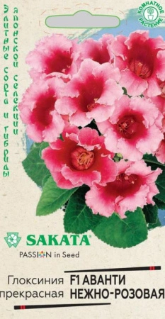 6e79e0ff-0acb-11e2-9c64-00500454e615-1