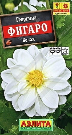 70f41b07-dcea-11dd-9138-00500454e615-1