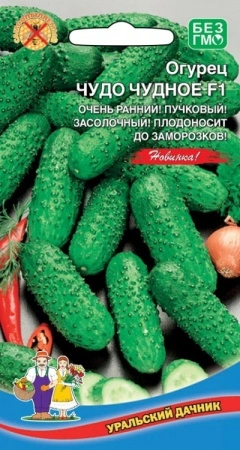 8f59d66b-e492-11eb-a954-005056c00008-1