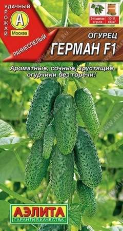 8949fba3-dcea-11dd-9138-00500454e615-1