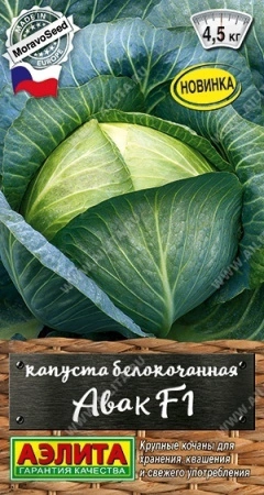 27241088-5d20-11ed-bd4c-001e673ebdea-1