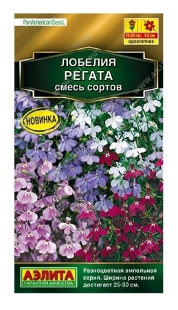 fe438b1c-f807-11ea-b984-005056c00008-1