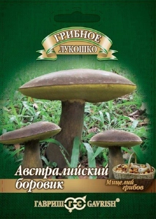 65c5ab62-a26a-11eb-93b3-005056c00008-1