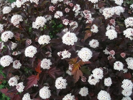 622aa60a-a340-11eb-93b3-005056c00008-1