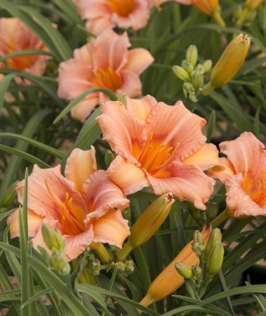 8be347a5-0010-11f0-8915-246e9611e8f5-1