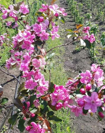 68852966-2fe2-11f0-8918-246e9611e8f6-1