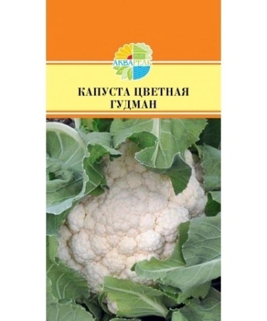 e34ad3b8-3dbb-11ea-ab2f-005056c00008-1