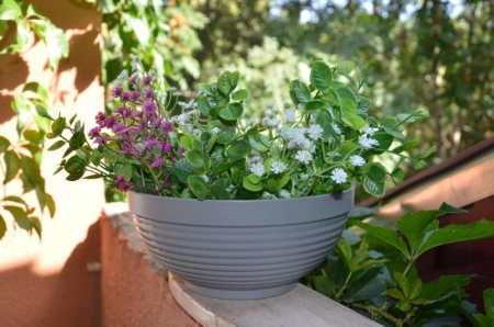 f0d8448a-58d1-11ed-aea3-001e673ebdea-1