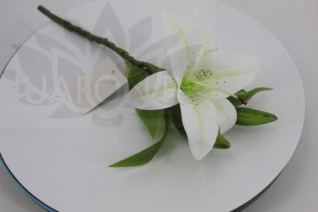 14a793b8-f2b0-11ef-8915-246e9611e8f5-1