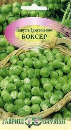 4ec79bd9-d95e-11e0-90f8-00500454e615-2