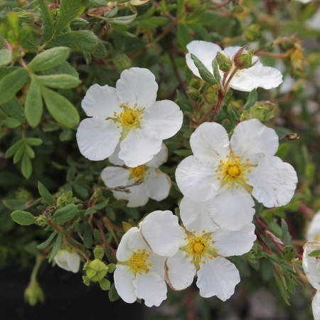 31717b6e-a340-11eb-93b3-005056c00008-2