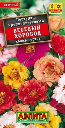 7961a774-ef00-11de-87df-0019dbe91ea3-1