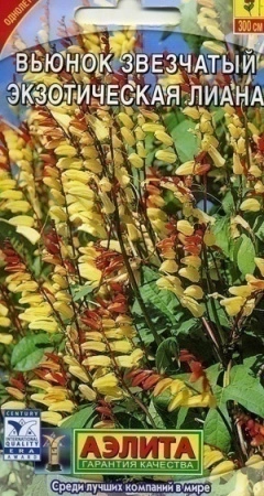 51a3c2f6-2b02-11e1-be7f-00500454e615-2