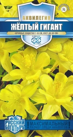 695be966-3caa-11e8-8910-005056c00008-1