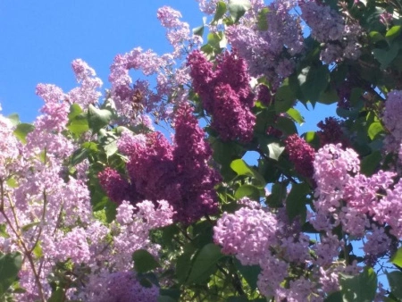 6e459591-326d-11f0-8918-246e9611e8f6-1