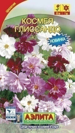 7d524d23-dcea-11dd-9138-00500454e615-2