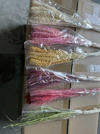 bdf25fda-9cfb-11ef-8912-246e9611e8f7-1