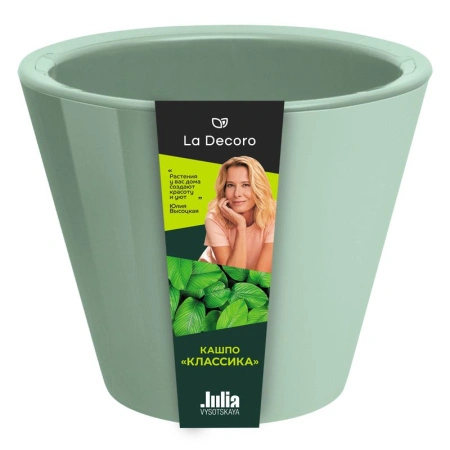 faebcd47-dbaa-11ef-8915-246e9611e8f5-1